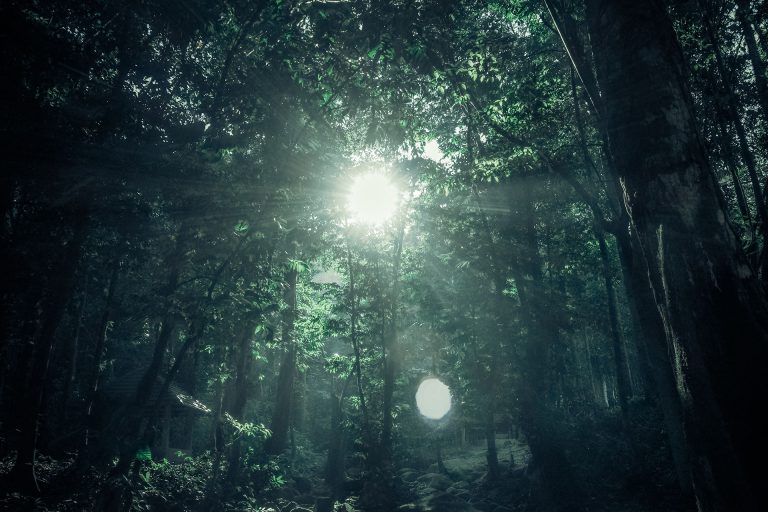 Noms de domaines – s’y retrouver dans la jungle des extensions