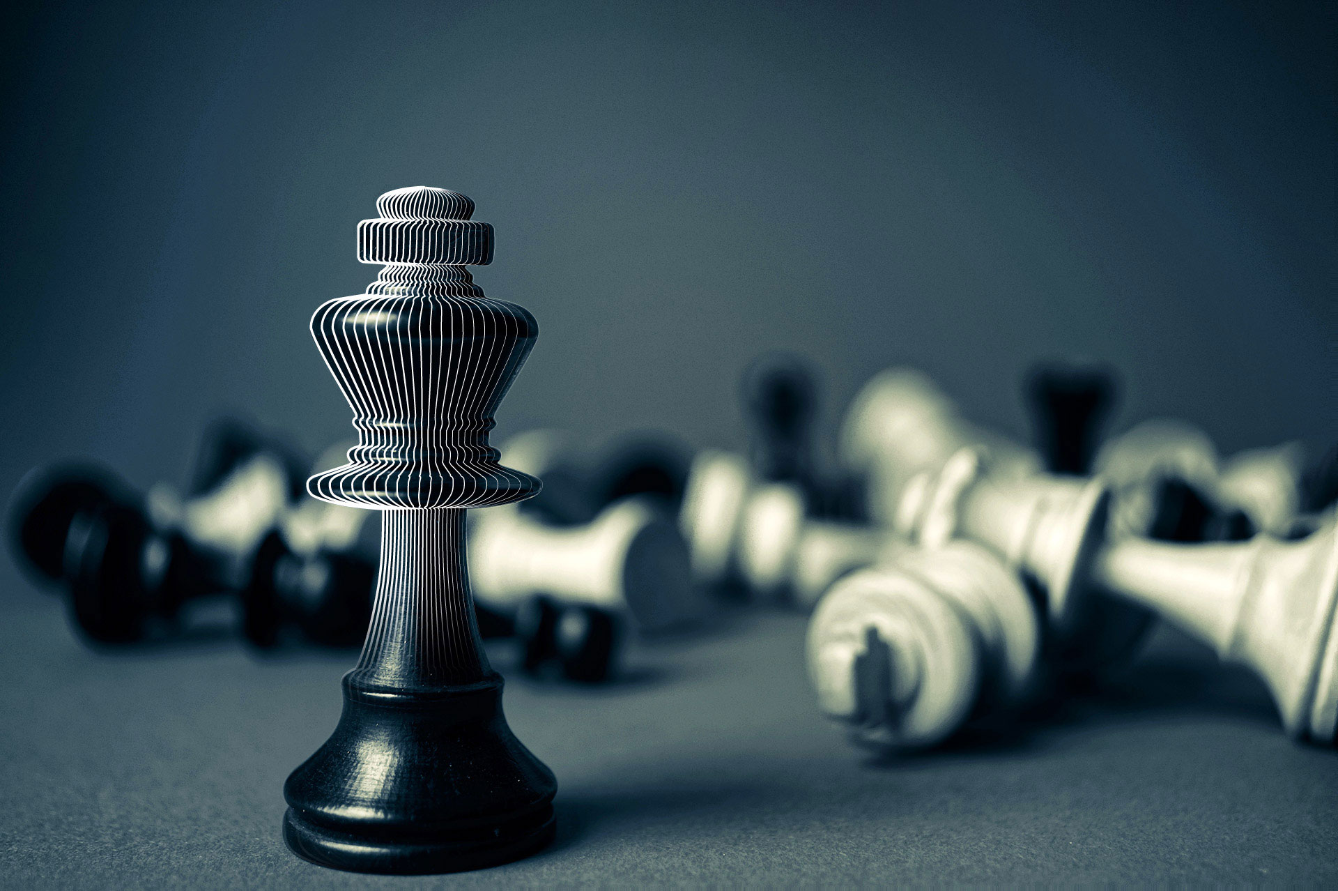 Polynomik, le partenaire de votre stratégie digitale