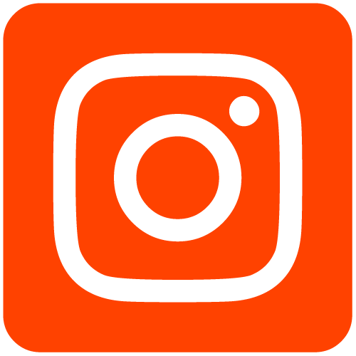 icone instagram