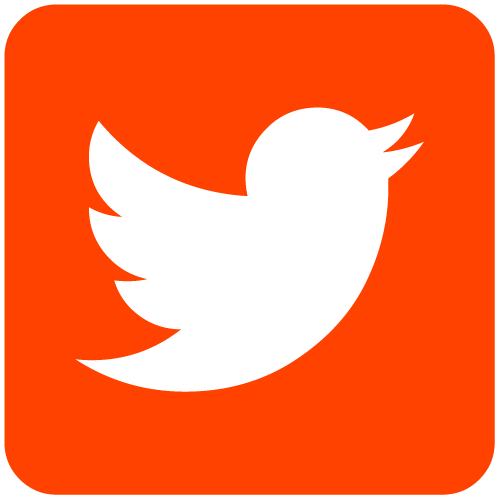icone Twitter