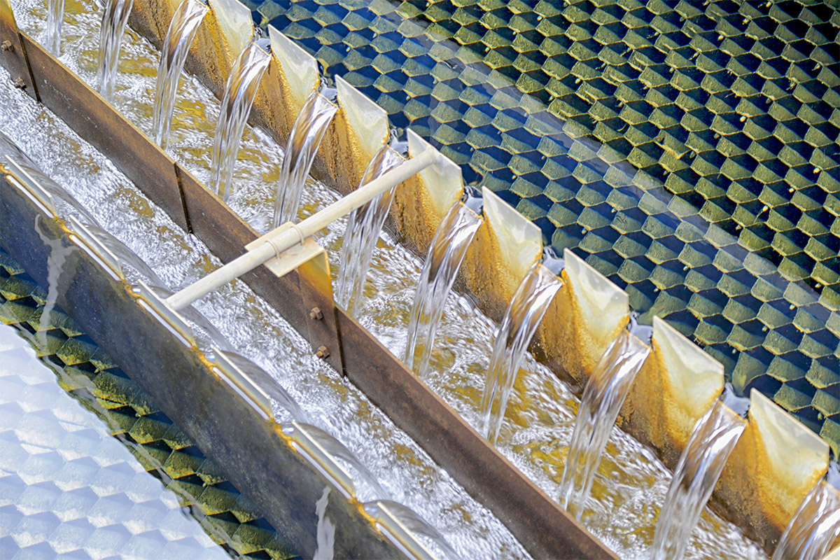 Polynomik fête les 85 ans du SEPG avec une exposition photo