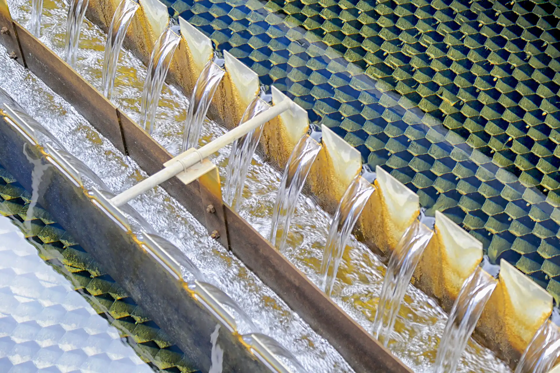 Polynomik fête les 85 ans du SEPG avec une exposition photo