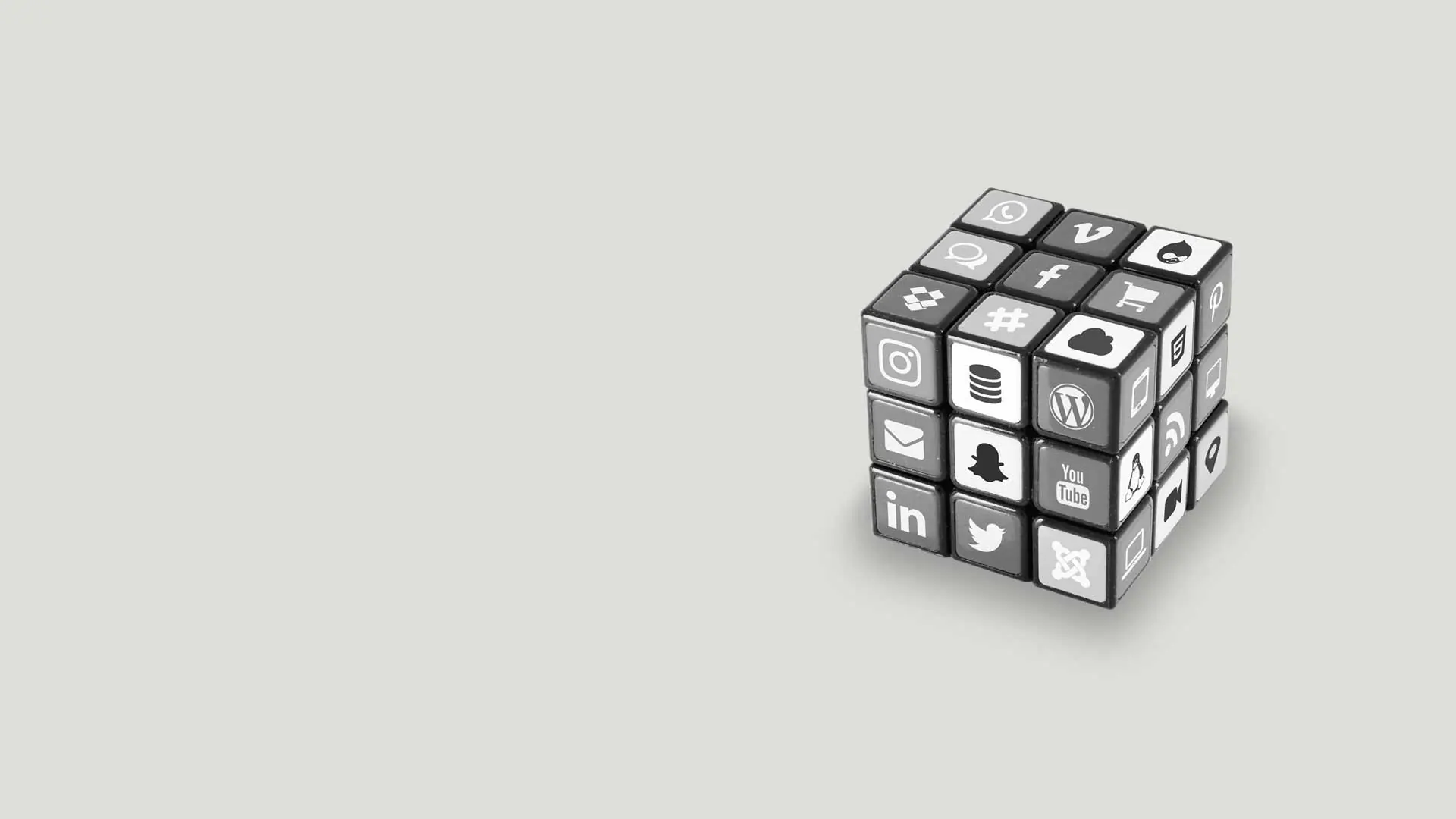 Polynomik agence digitale