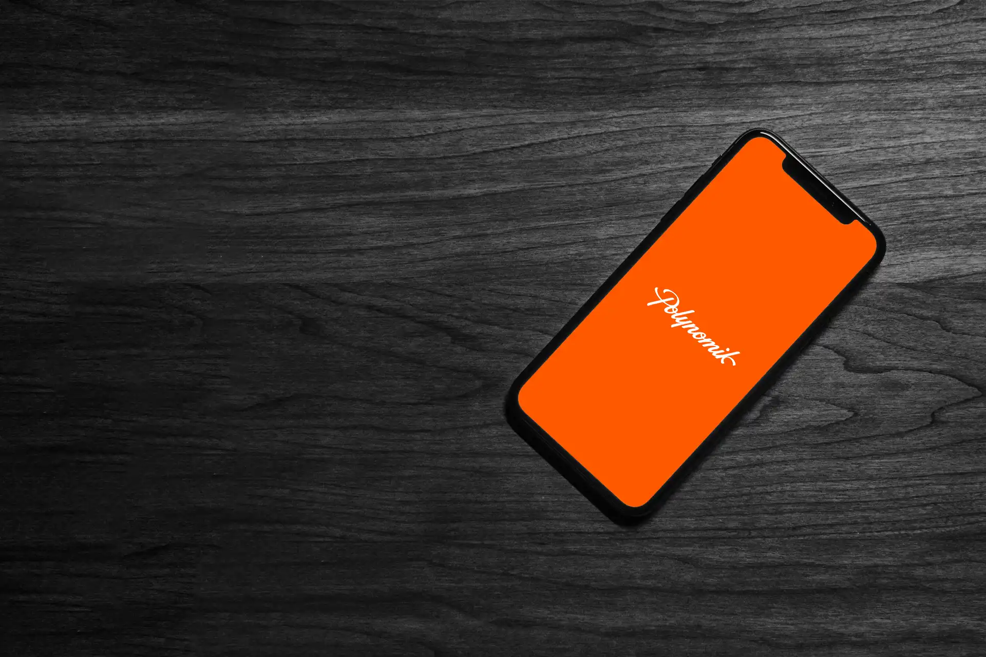 A propos de Polynomik - agence digitale